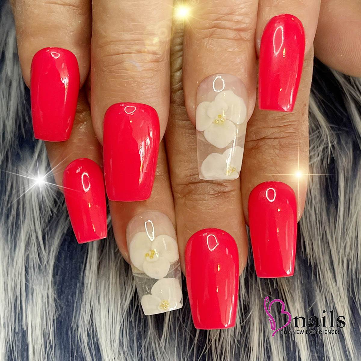 Bnails.com