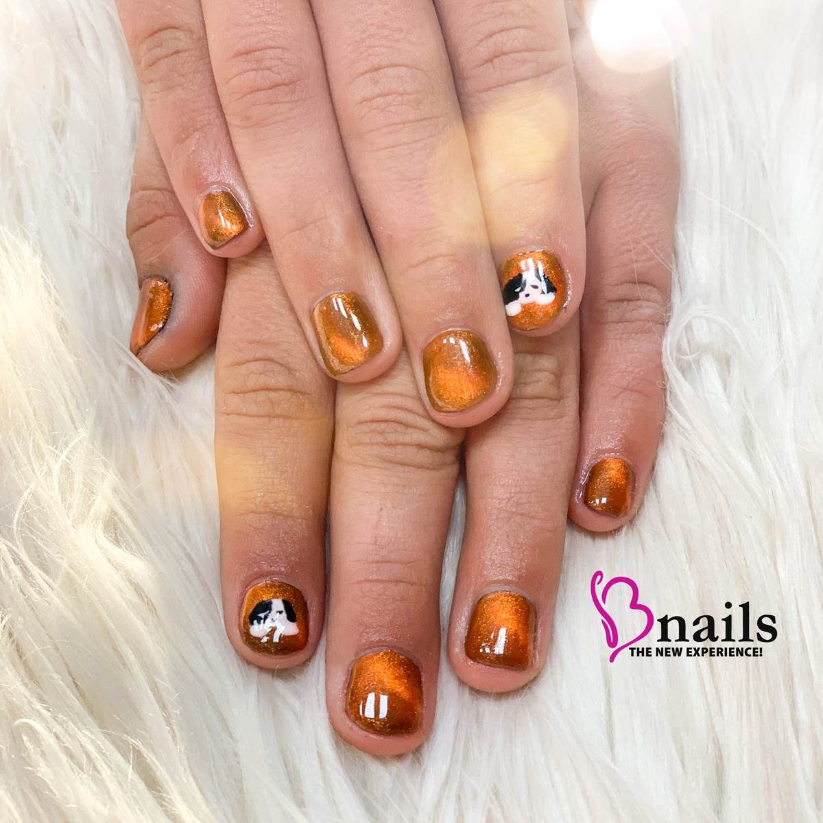Bnails.com
